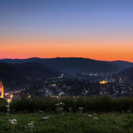 Drei Tannen - Wohnung 04 - Apartmenthaus, Titisee, Nahe Badeparadies المظهر الخارجي الصورة