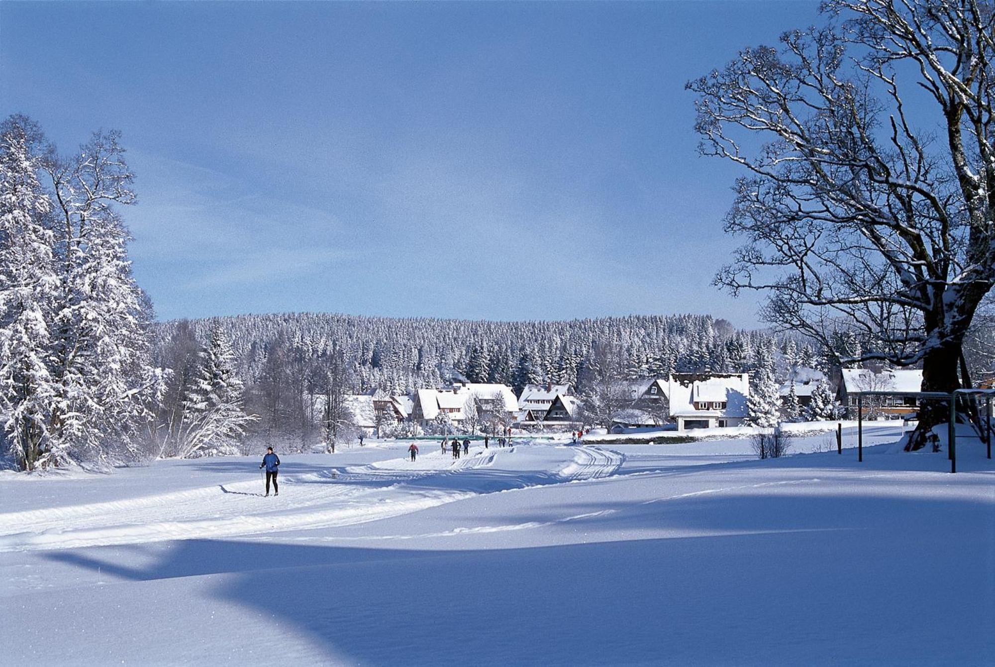 Drei Tannen - Wohnung 04 - Apartmenthaus, Titisee, Nahe Badeparadies المظهر الخارجي الصورة