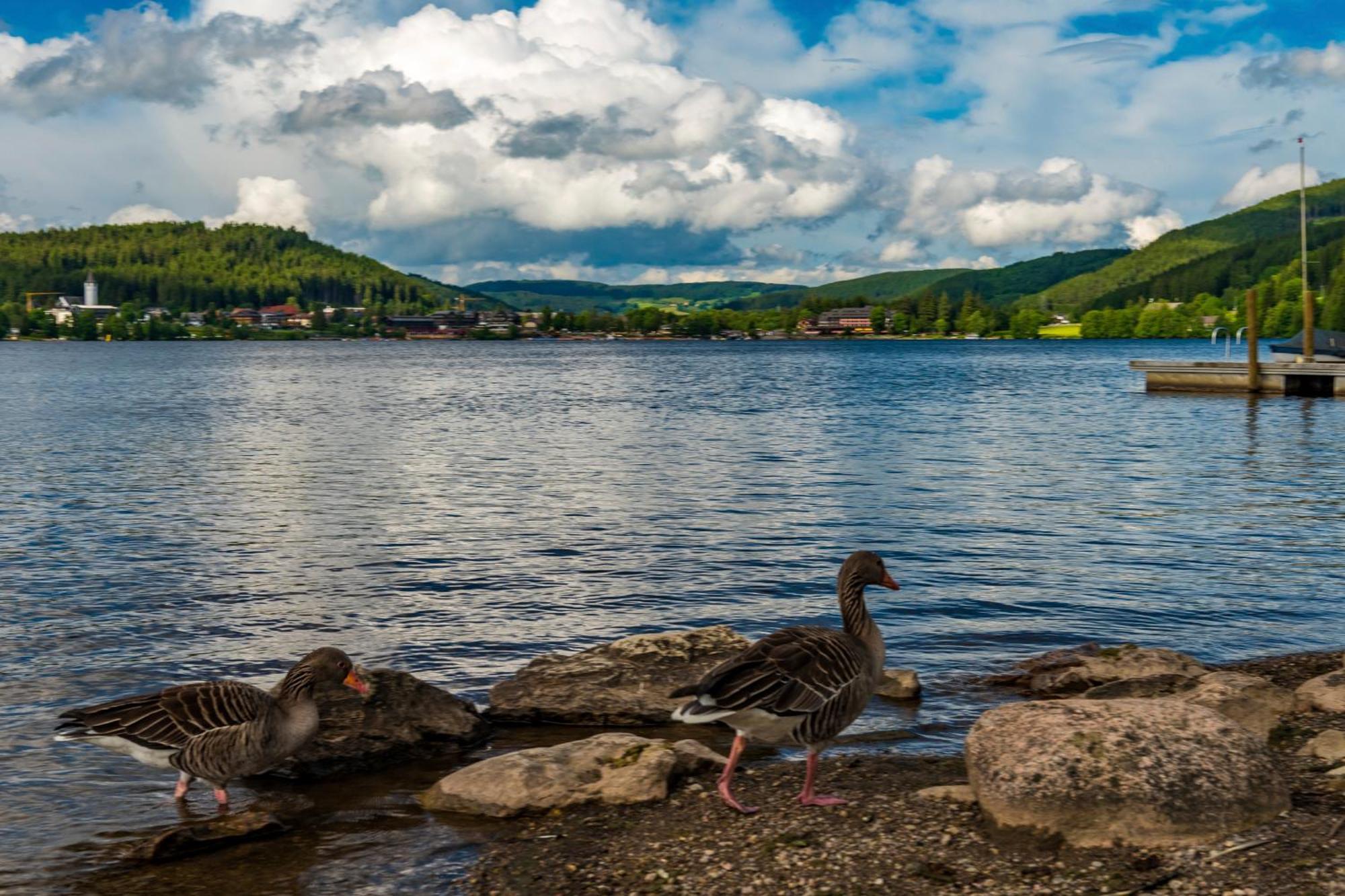 Drei Tannen - Wohnung 04 - Apartmenthaus, Titisee, Nahe Badeparadies المظهر الخارجي الصورة