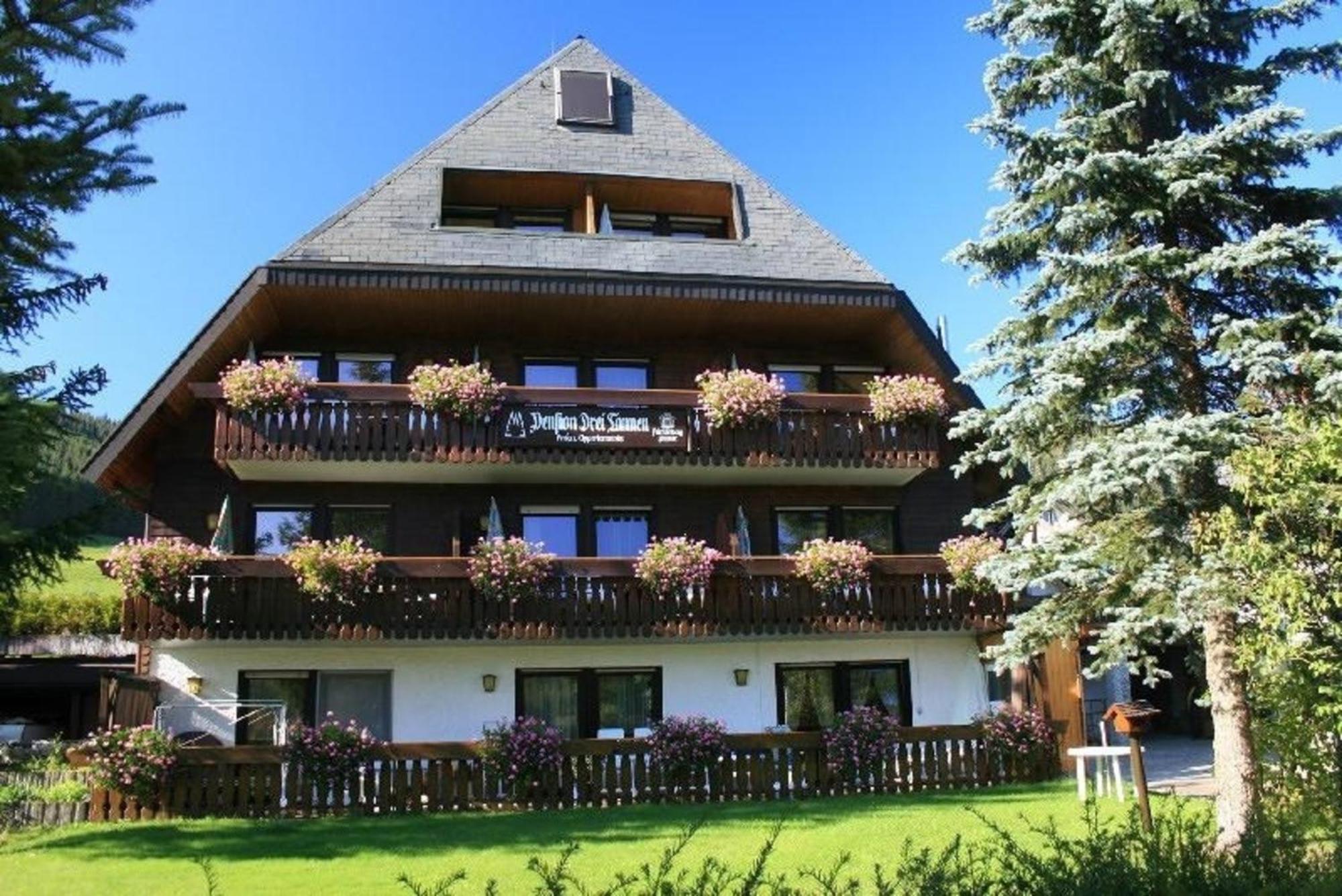 Drei Tannen - Wohnung 04 - Apartmenthaus, Titisee, Nahe Badeparadies المظهر الخارجي الصورة